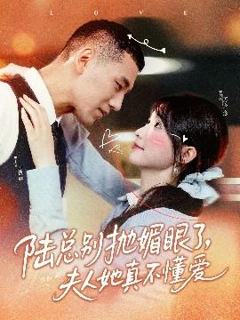 陆总别抛媚眼了夫人她真不懂爱(全集)