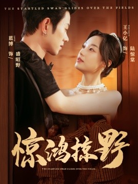 惊鸿掠野(全集)